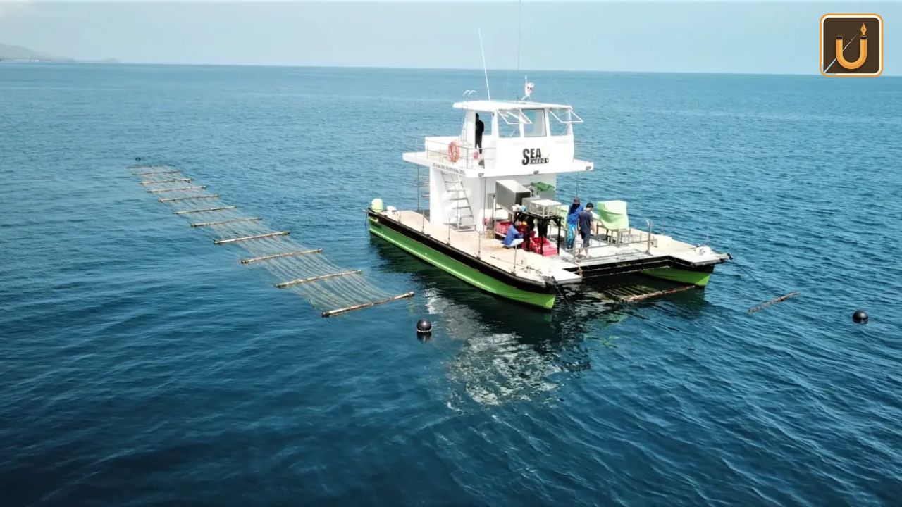 Usthadian Academy / Sea6 Energy Launches World’s First Large-Scale Mechanized Tropical Seaweed Farm